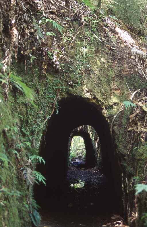 Water Race Tunnel Track - Broken Hills Recreation Area