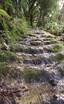 Packhorse steps above Billygoat Landing