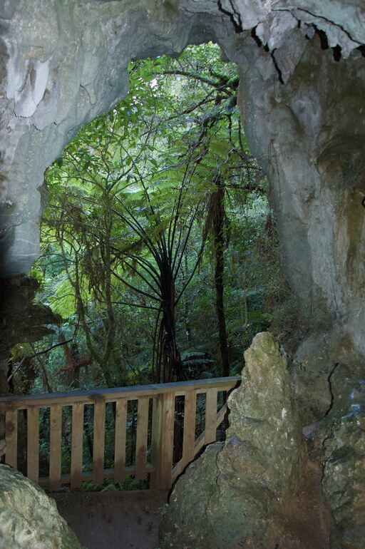 Ruakuri Walk - Waitomo