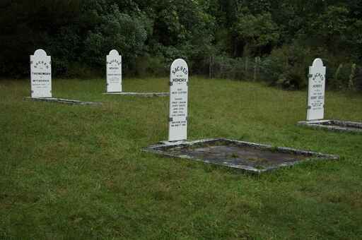 Cemetery Walk / Northern Walking Track - Opepe Bush Historic Reserve 