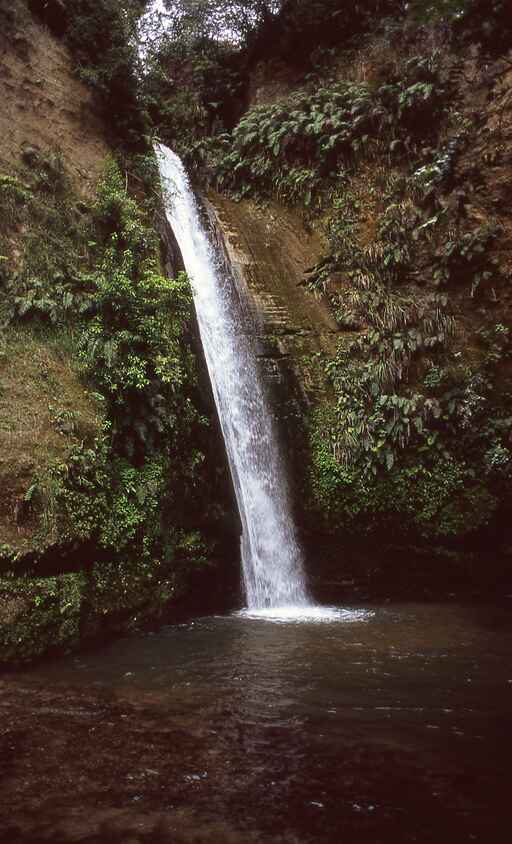 Te Ana Falls Track