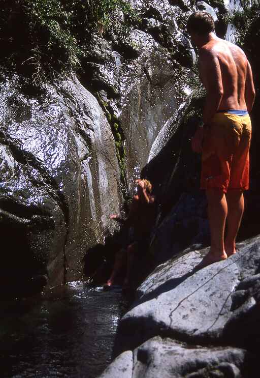 Wilkies Pools Loop Track - Dawson Falls, Egmont National Park