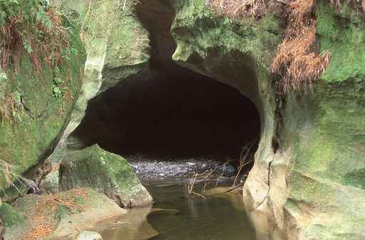 Limestone Creek Glow Worm Caves