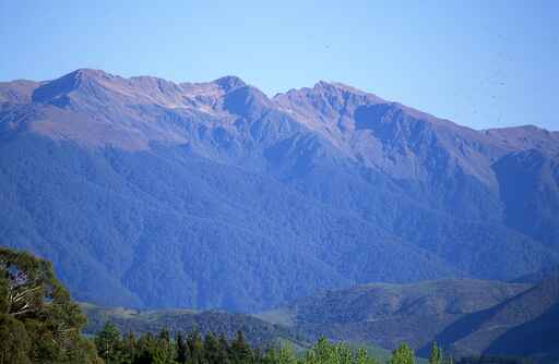 Mount Holdsworth Summit - Tararua Forest Park