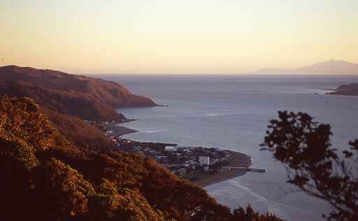 Muritai Park Track - Butterfly Creek, East Harbour Regional Park 