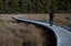 Boardwalk protects the wetland