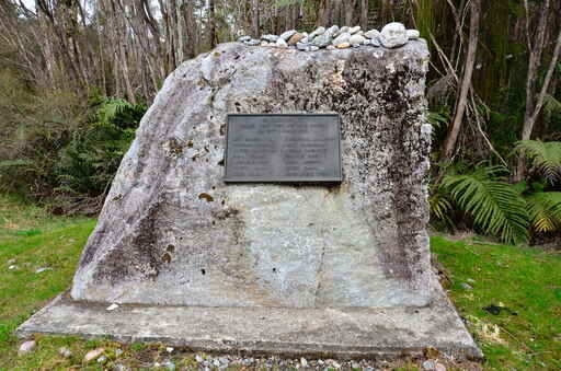 Cave Creek Kotihotiho Walk - Punakaiki, Paparoa National Park