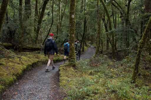 Routeburn Nature Walk