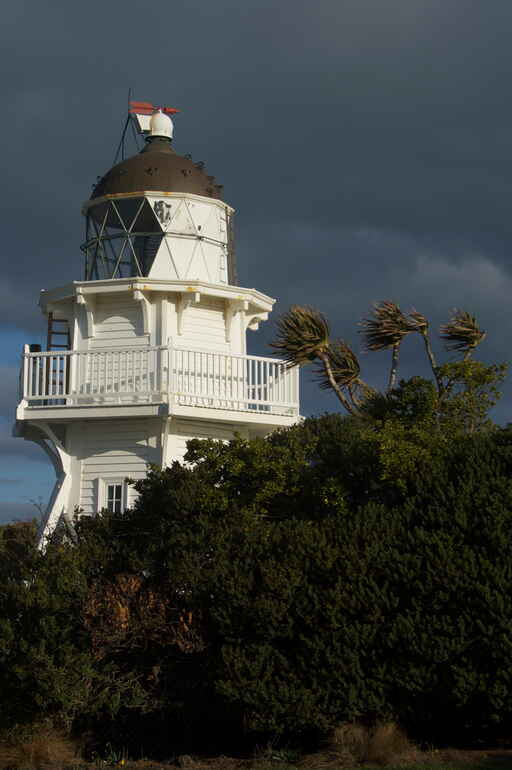 Katiki Point Walk