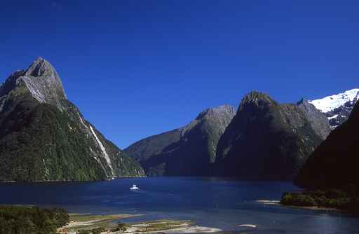 Milford Sound Lookout Track