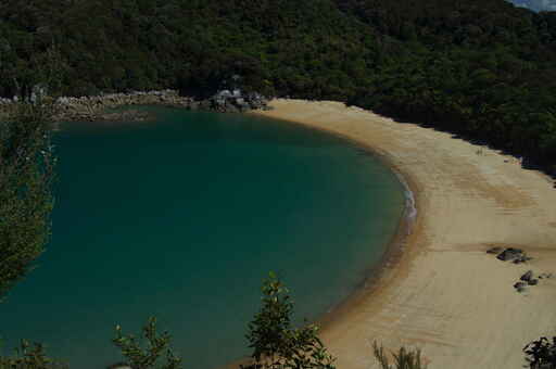 Pitt Head Loop Track - Abel Tasman Coast Track