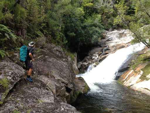 Falls River Track - Abel Tasman Coast Track