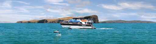 Akaroa Harbour Nature Cruises - Black Cat Cruises