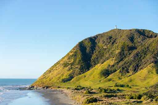 East Cape Lighthouse Seal Colony 