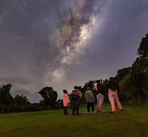 Stargazing & Wild Kiwi Tours