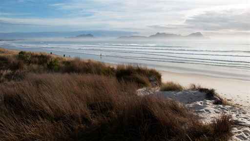 Uretiti Beach Campsite - Waipu