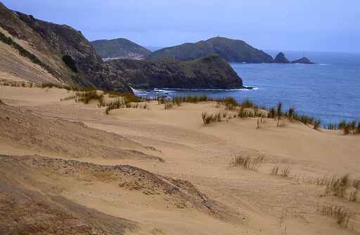 Te Paki Coastal Track - Cape Reinga to Te Werahi Beach