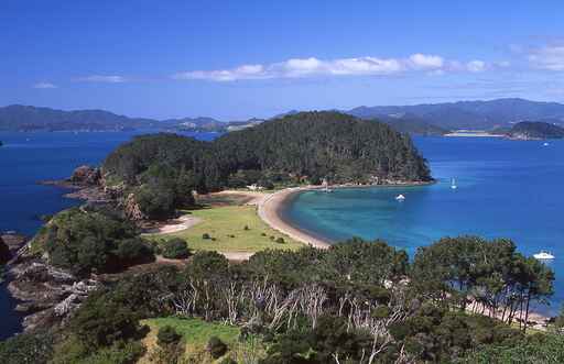 Motuarohia (Roberton) Island Track