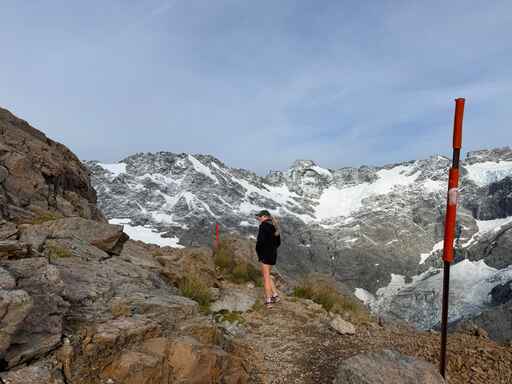 Mueller Hut Route