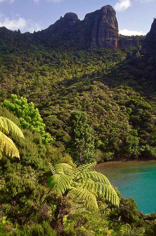 Wairakau Stream Track - Whangaroa - Bay of Islands