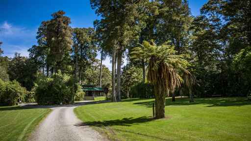 Pelorus Bridge Campground - Pelorus Bridge Scenic Reserve