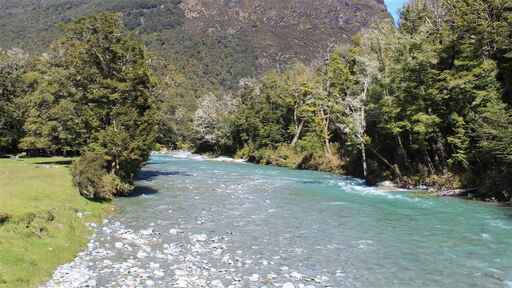 Sylvan Campsite - Glenorchy