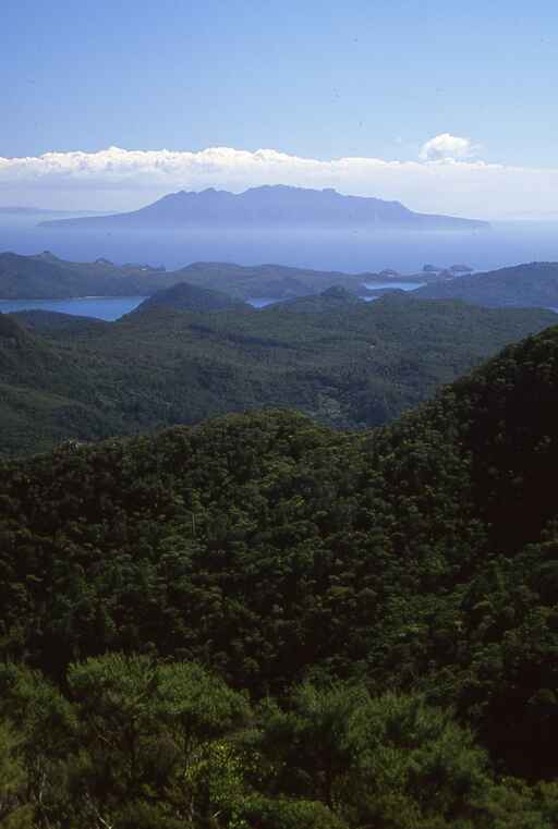 Mount Hobson / Hirakimata via the Kaiarara Track