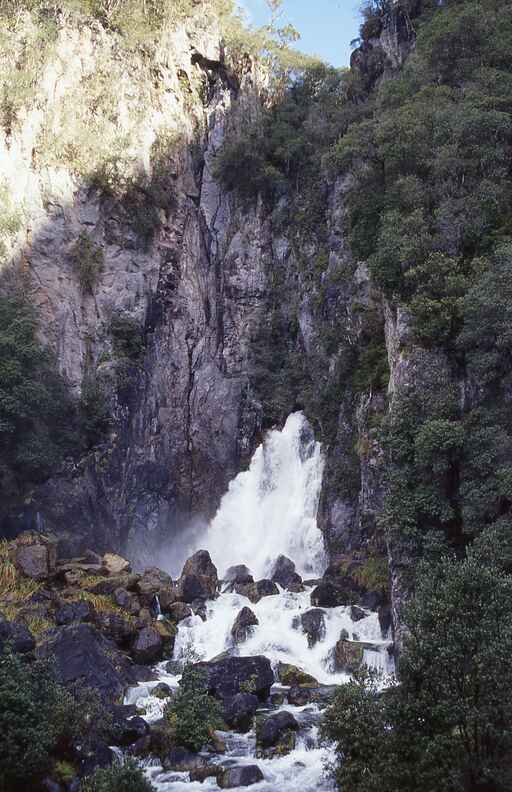 Tarawera Falls Track