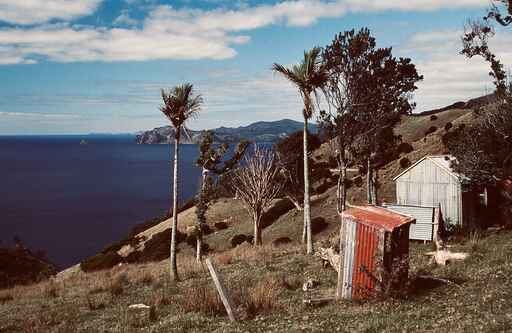 Coromandel Walkway - Between Port Jackson and Port Charles