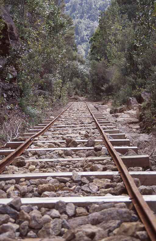 Billygoat Circuit Track - Kauaeranga Valley 