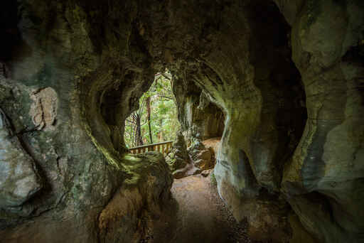 Waitomo Walkway 