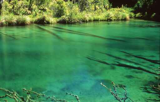 Ngamoko Track -  Lake Waikaremoana