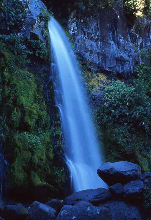 Kapuni Loop Track to Dawson Falls - Kaponga, Egmont National Park