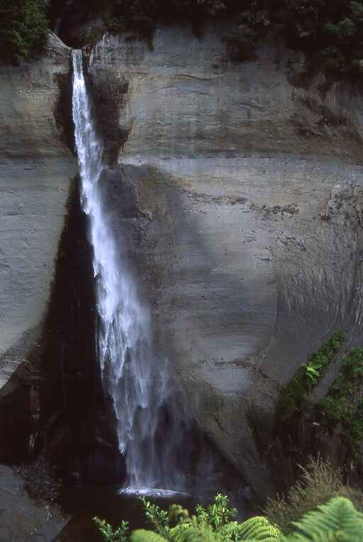 Mount Damper Falls Walk 