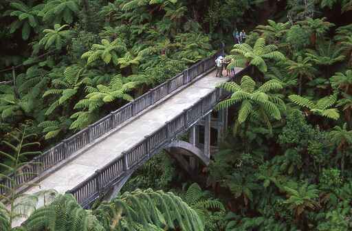 Bridge to Nowhere Walk - Mangapurua/Kaiwhakauka Valleys