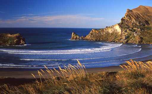 Deliverance Cove Track - Castlepoint Scenic Reserve