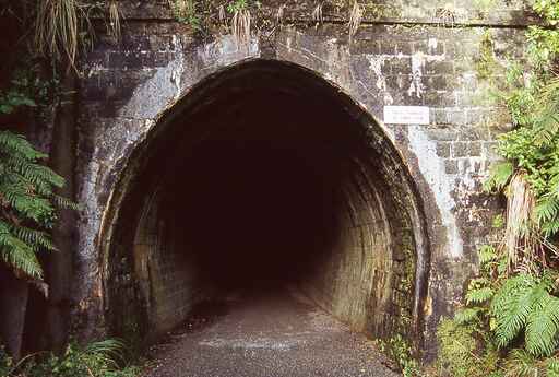 Remutaka Rail Trail - Remutaka Forest Park