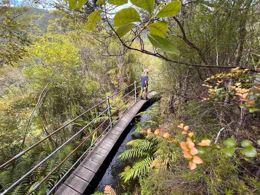 Pupu Hydro Walkway - Takaka