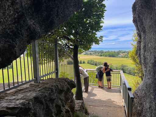 Grove Scenic Reserve - Takaka