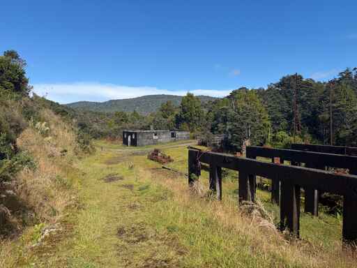 Charming Creek Walkway - Ngakawau