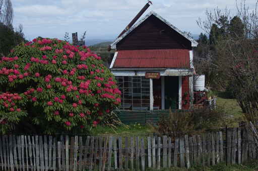 Waiuta Town Walk - Victoria Forest Park