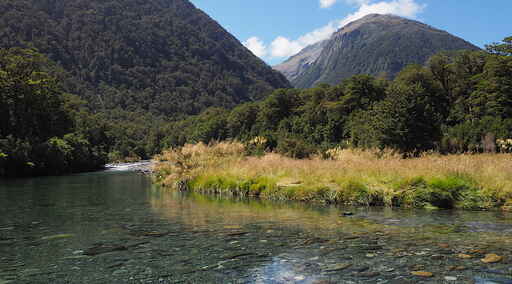 Historic Haast to Paringa Cattle Track