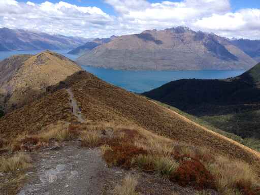 Ben Lomond Track