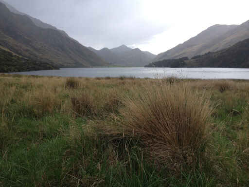 Moke Lake Loop Track