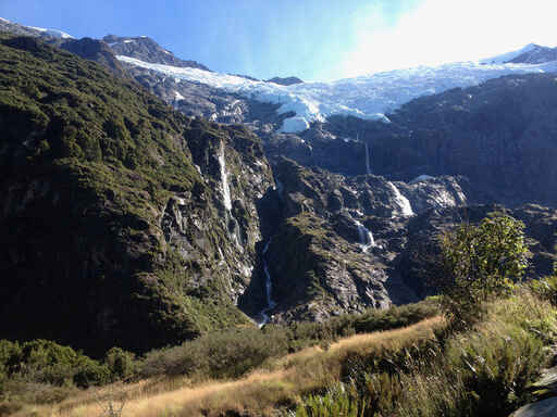 Rob Roy Track - Matukituki Valley