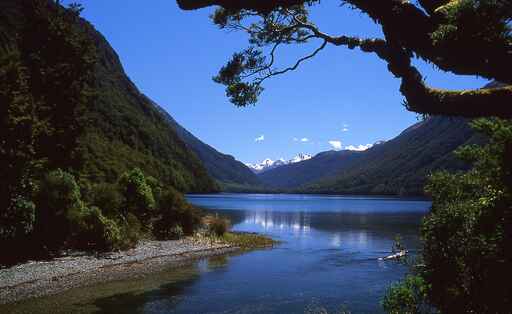 Lake Gunn Nature Walk - Milford Road, Fiordland National Park