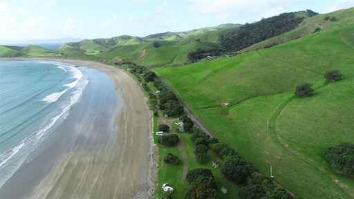 Port Jackson Campsite  - Northern Coromandel