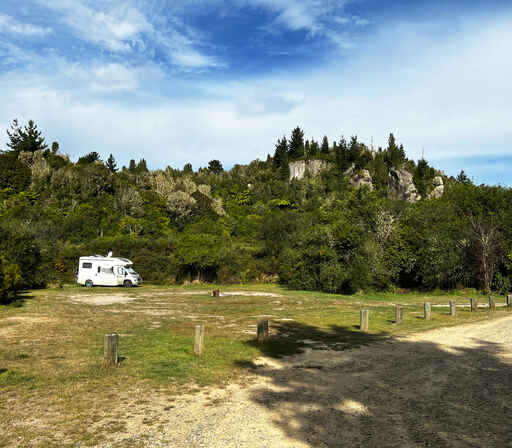 Kakaho Campsite - Pureora Forest Park