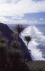 view from Maunganui Bluff