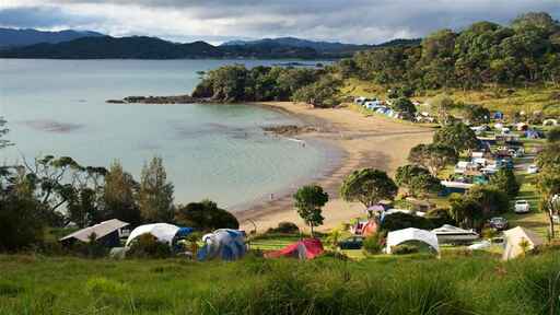 Puriri Bay (Whangaruru North Head) Campsite - Whangaruru North Head Scenic Reserve